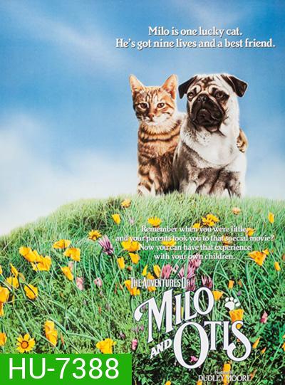 The Adventures of Milo and Otis (1986) แมวจ๋าหมาอยู่นี่