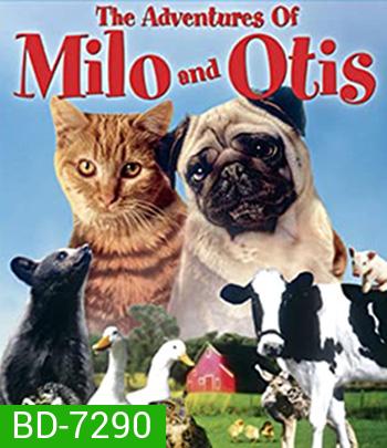 The Adventures of Milo and Otis (1986) แมวจ๋าหมาอยู่นี่