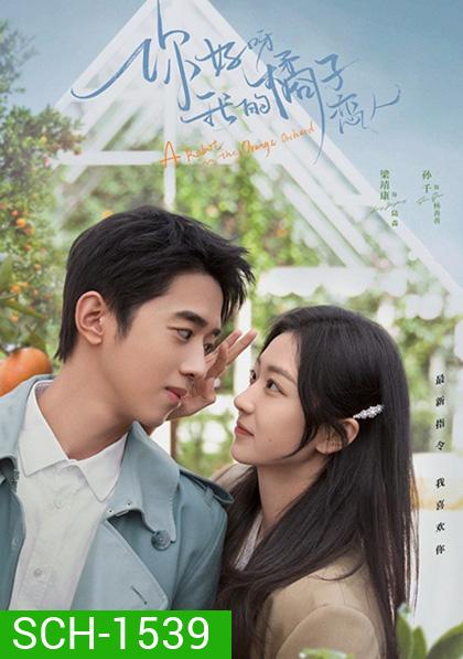 A Robot in the Orange Orchard (2022) ภูมิแพ้หัวใจยัยโรบอต (30 ตอน)