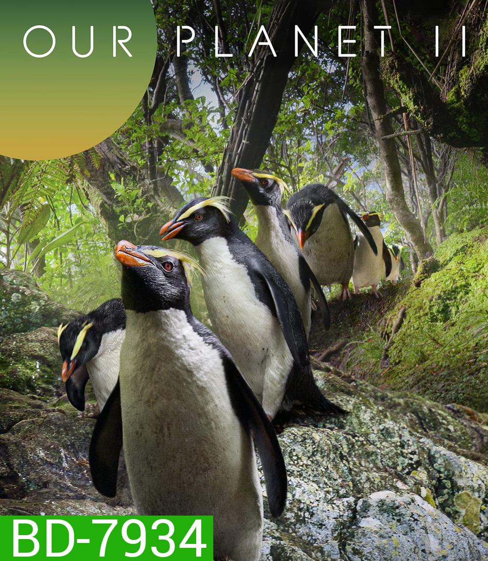 Our Planet (2023) Season 2 (ภาพ HDR)