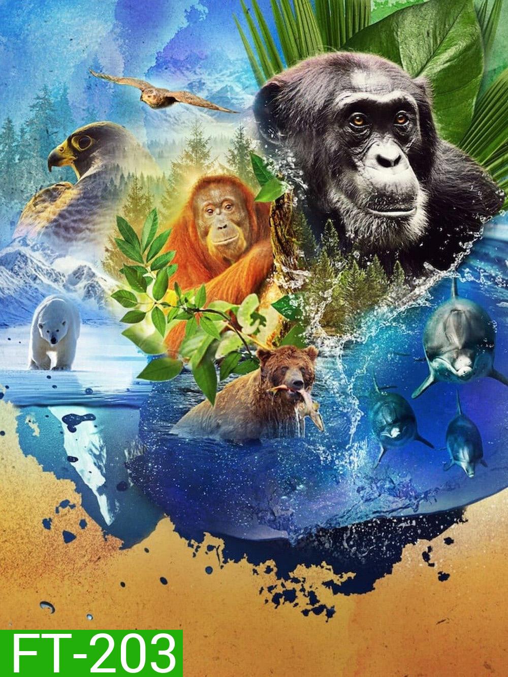 Animal Season 2 (2022) สัตว์มหัศจรรย์ 2 (4 ตอน)