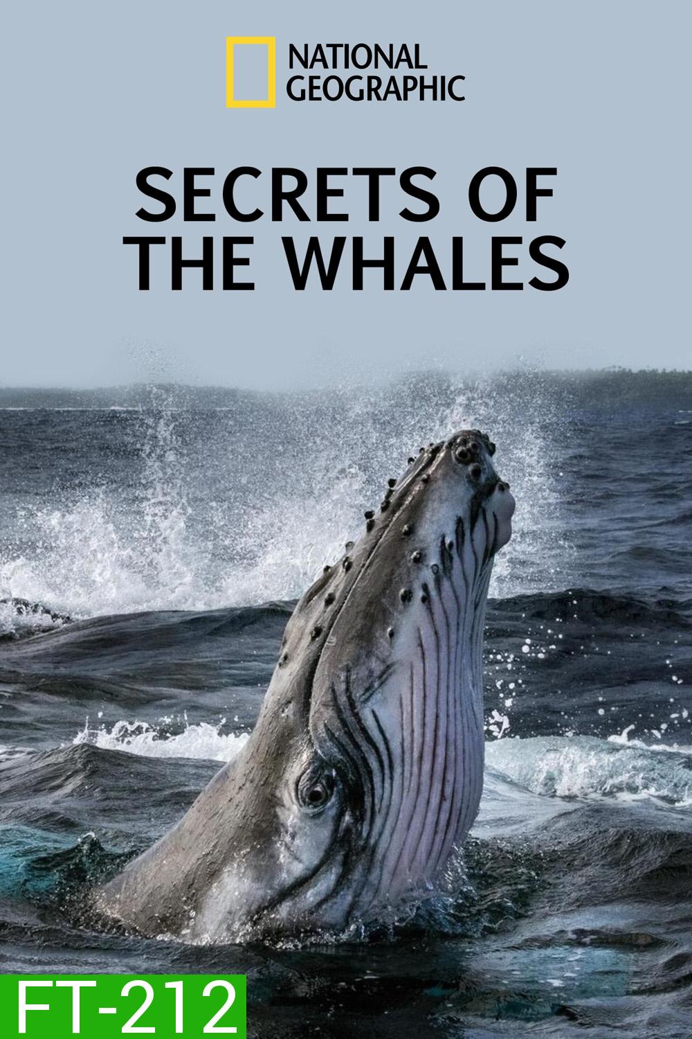 Secrets of the Whales ( 2021) ความลับของเหล่าวาฬ