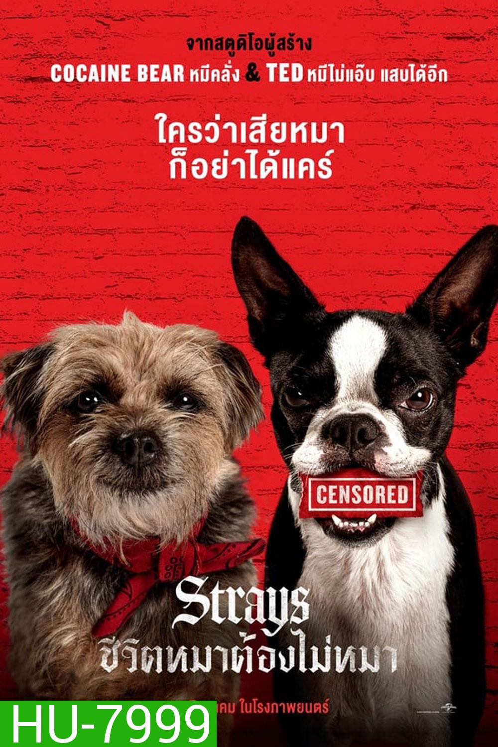 Strays (2023)ชีวิตหมาต้องไม่หมา