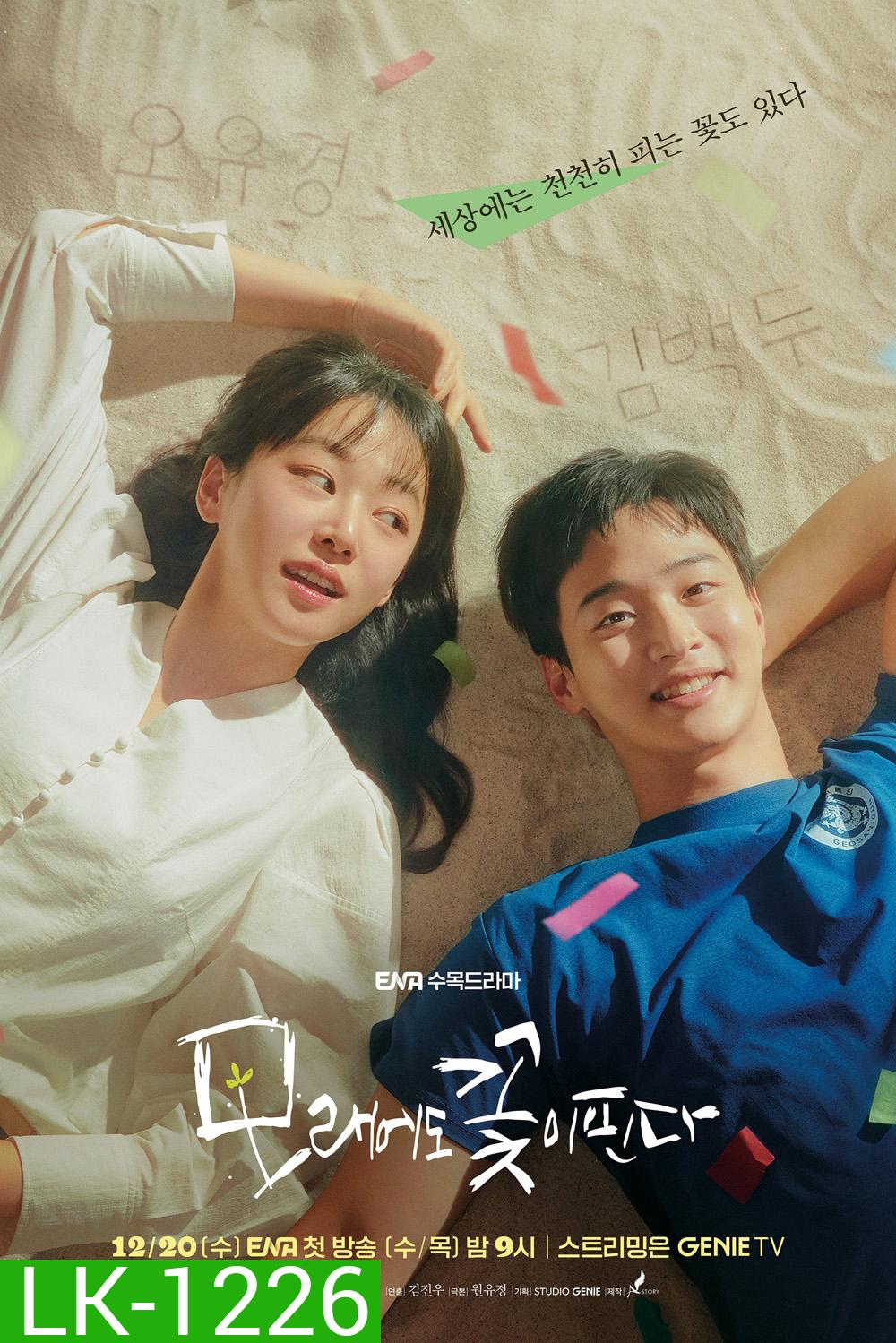 Like Flowers in Sand (2023) ดอกไม้สังเวียนทราย (12 ตอน)