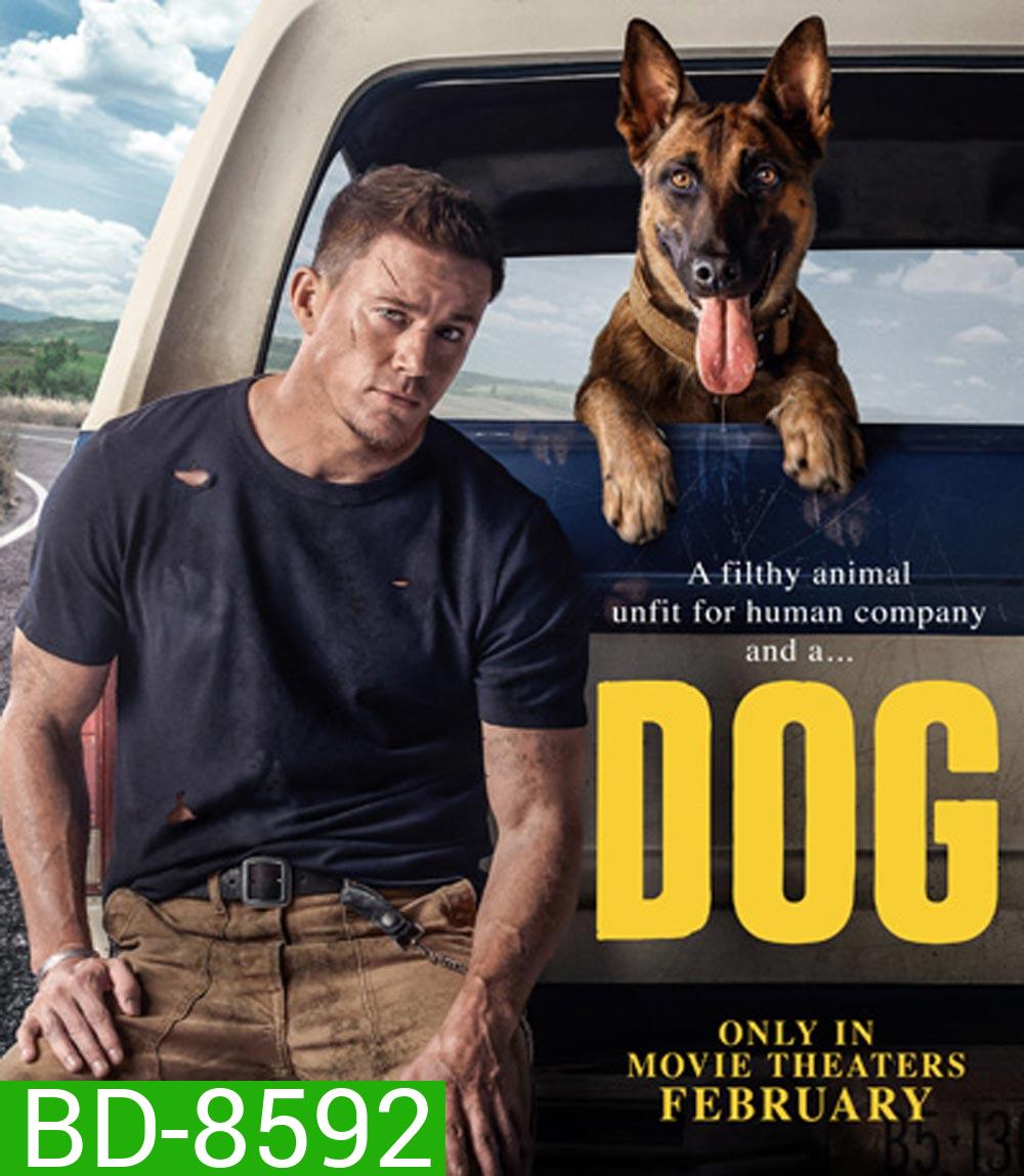 DOG ด็อก เพื่อนกันพันธุ์ห้าว (2022)
