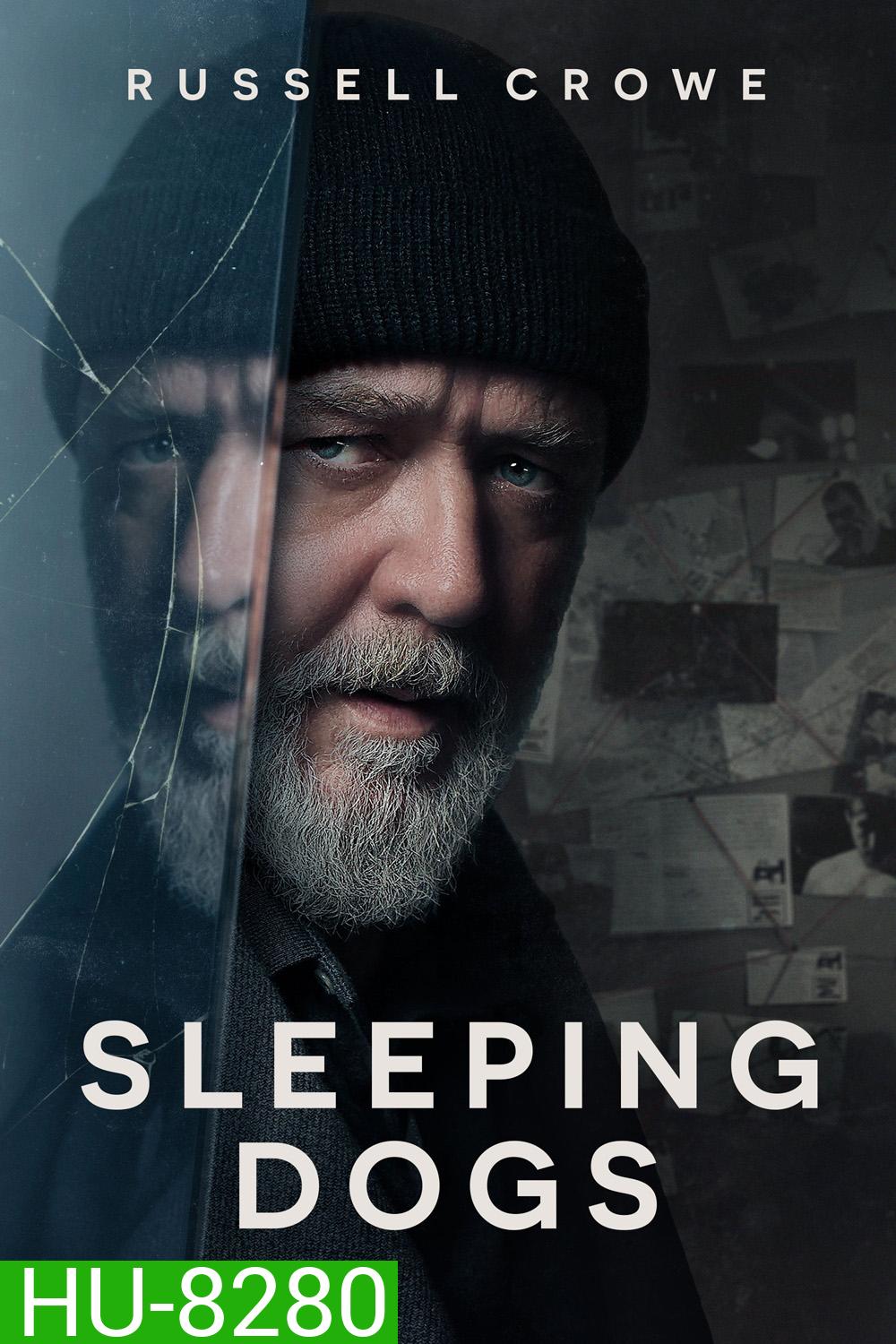 Sleeping Dogs 2024