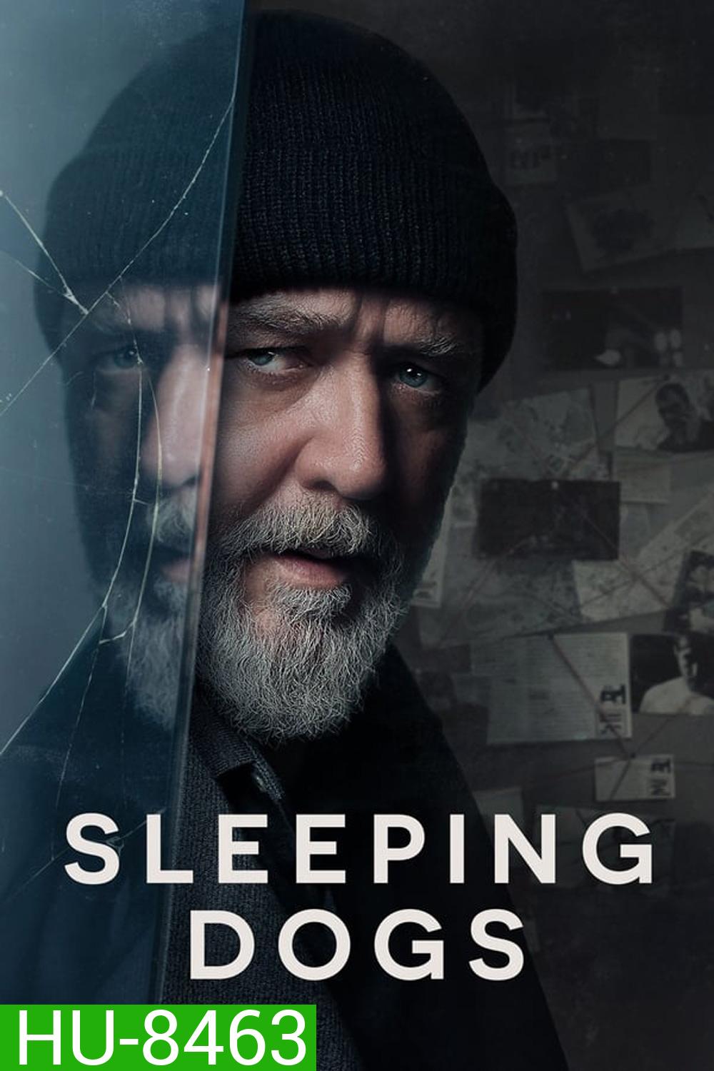 Sleeping Dogs อย่าแหย่หมาหลับ (2024)