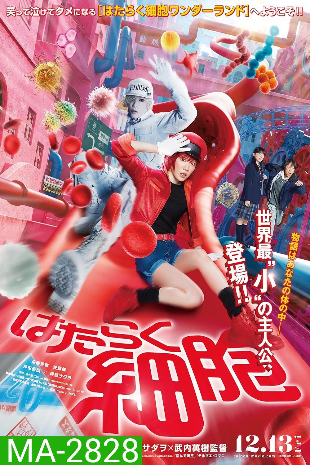 Cells at Work Hataraku Saibou เซลล์ขยันพันธุ์เดือด (2024)