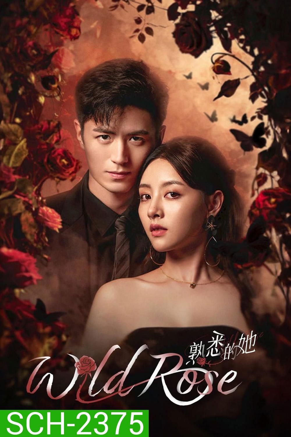 Wild Rose ทวงแค้นได้รัก (2025) 24 ตอนจบ