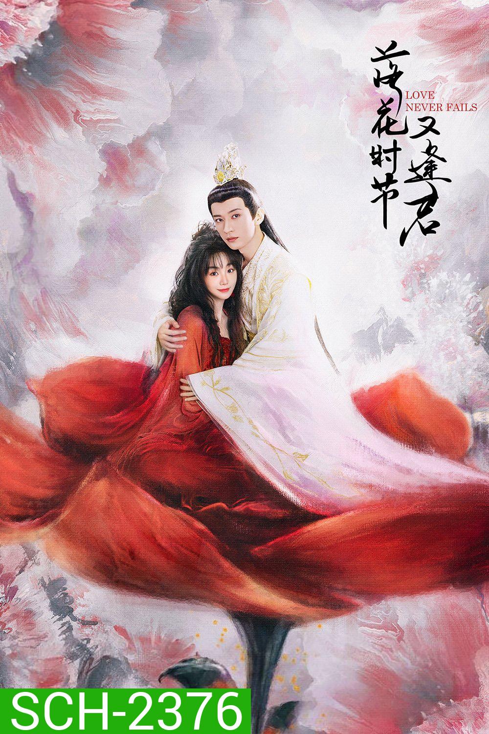 พานพบอีกครายามบุปผาโปรยปราย Love Never Fails (2025) 40 ตอนจบ
