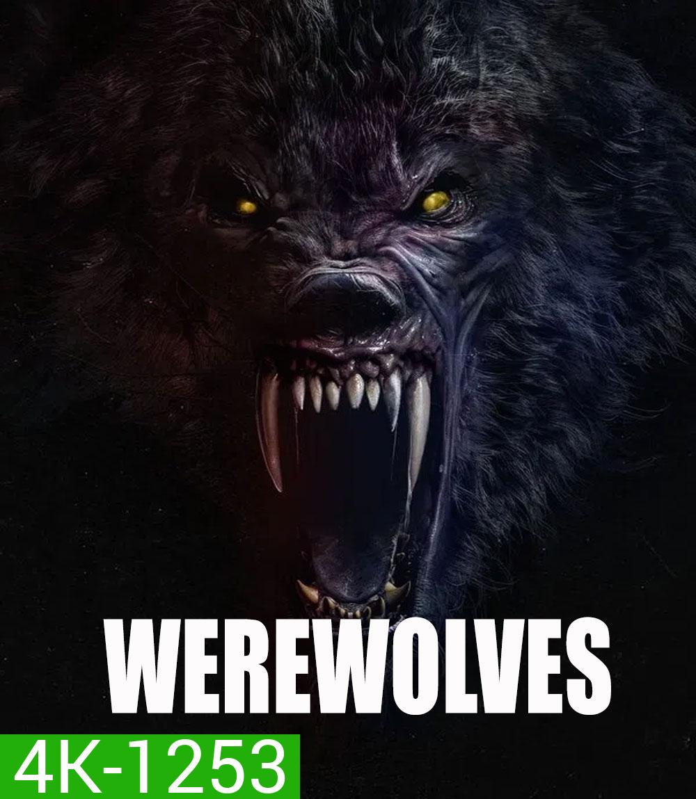 4K - Werewolves (2024) คนหอนกลายพันธุ์ - แผ่นหนัง 4K UHD (ภาพ HDR)