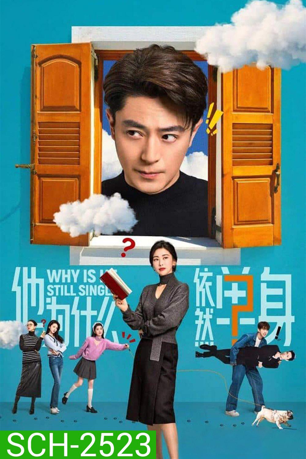 Why Is He Still Single ปริศนาหนุ่มโสด [2025] EP01-16 END