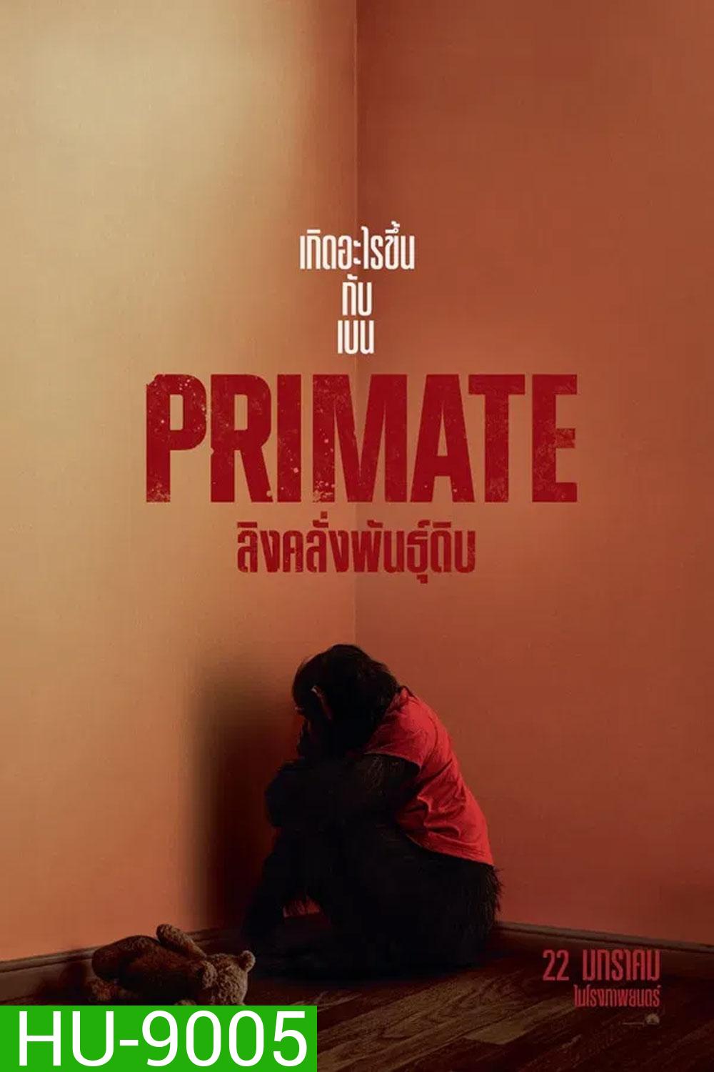 (ZOOM ชัด V.1) Primate (2026) ลิงคลั่งพันธุ์ดิบ