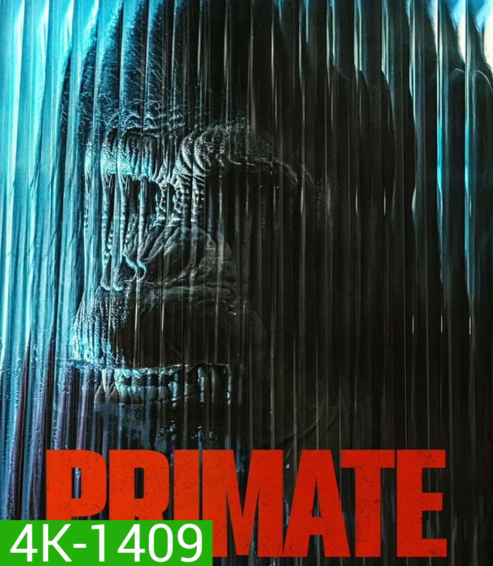 4K - Primate (2026) ลิงคลั่งพันธุ์ดิบ - แผ่นหนัง 4K UHD