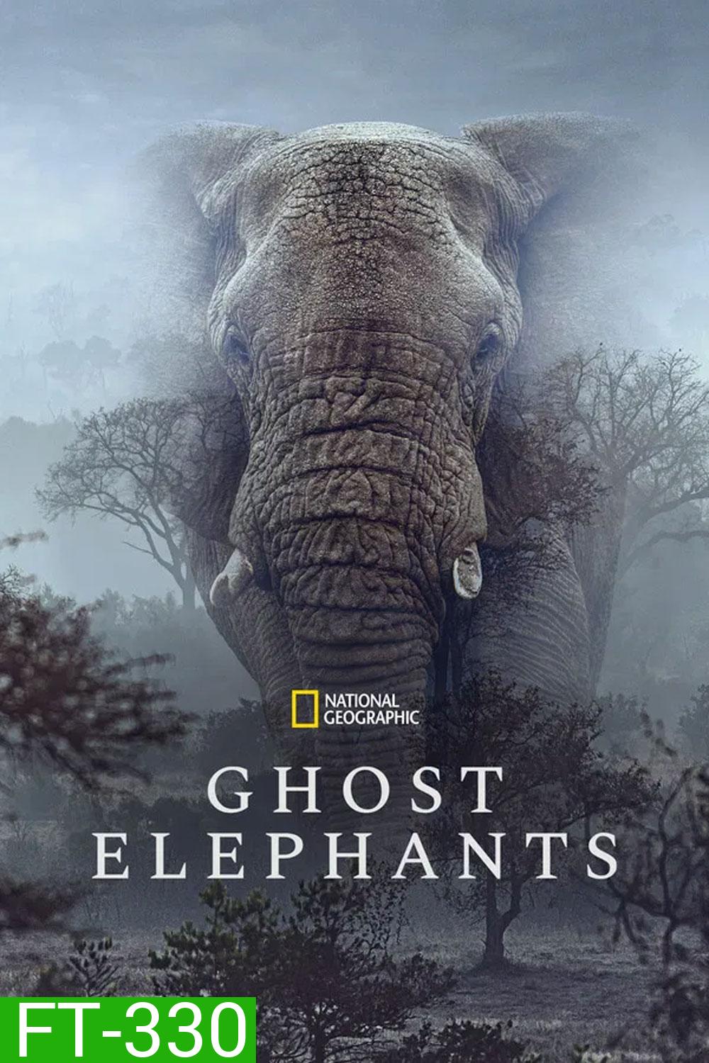 Ghost Elephants (2025)