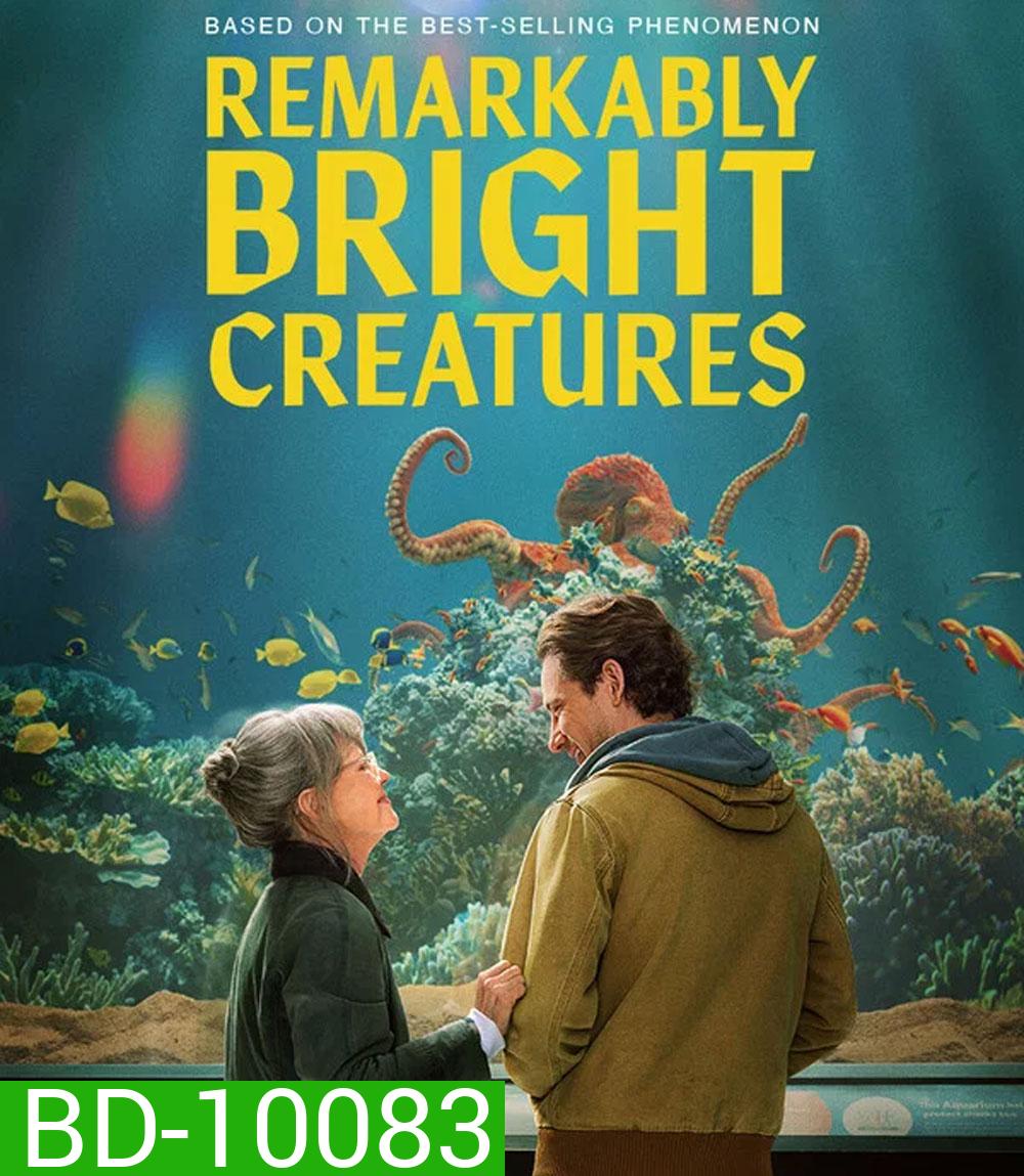 Remarkably Bright Creatures (2026) อควาเรียมสำหรับคน หมึก และสิ่งของ