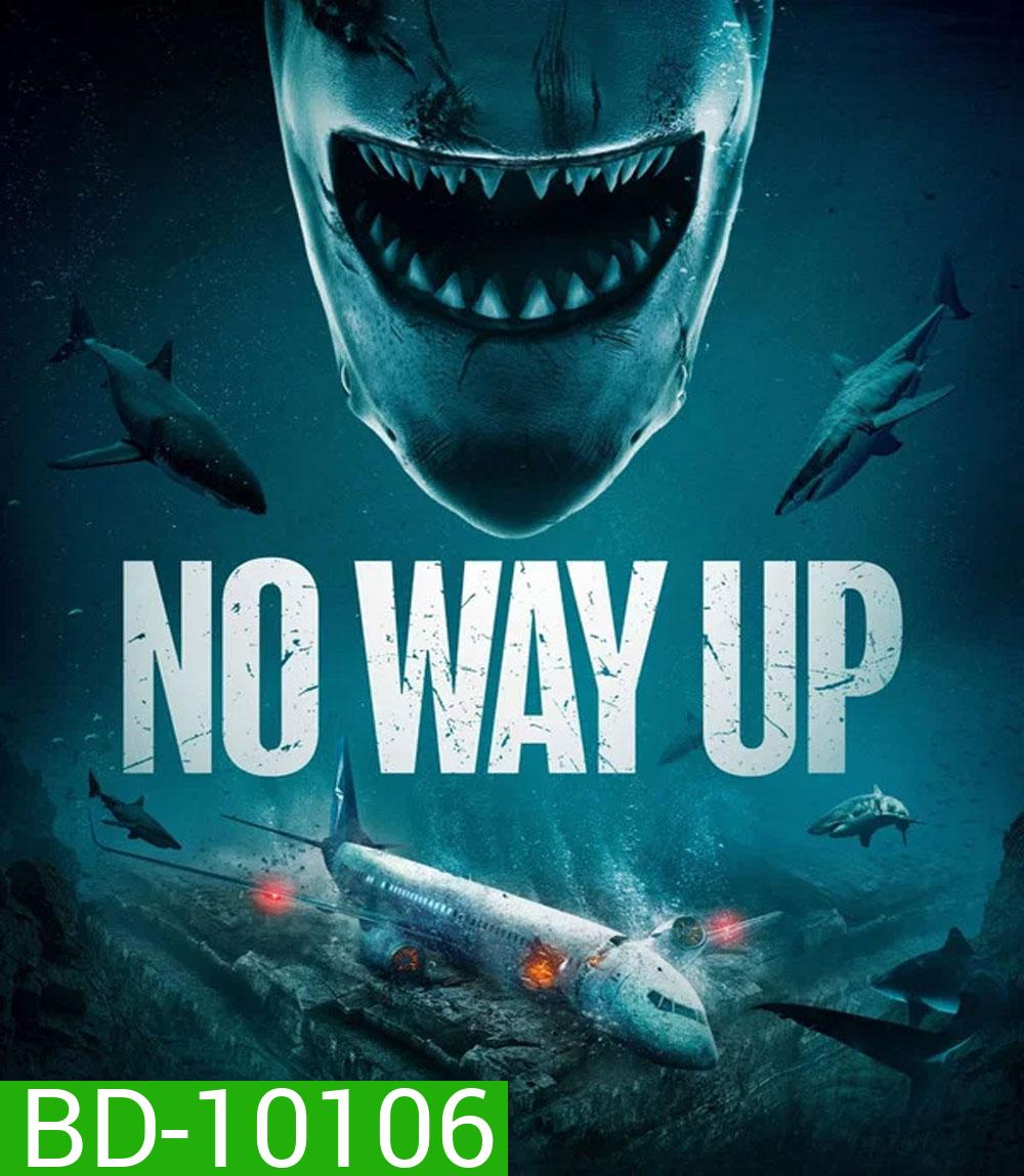 No Way Up (2024) งาบคลั่งไฟลต์
