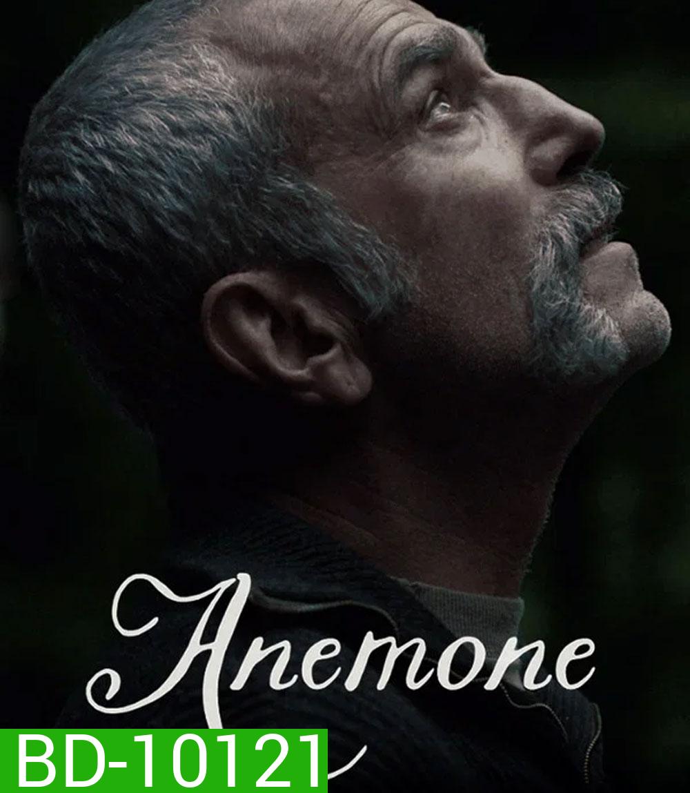 Anemone (2025) อะนีโมนี