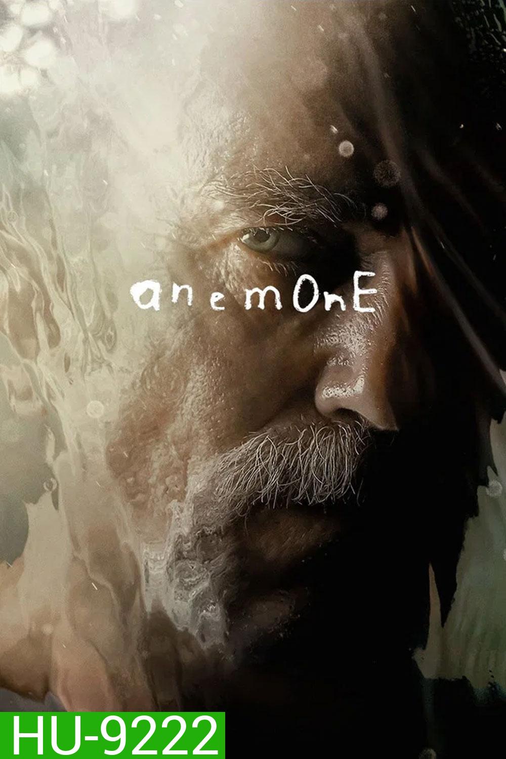 Anemone (2025) อะนีโมนี