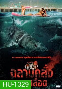 Jersey Shore Shark Attack ฉลามคลั่งทะเลเลือด