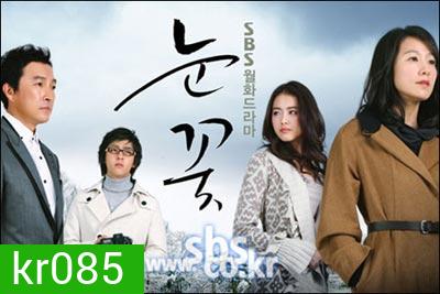 Snow Flower (แรงรัก แรงแค้น)