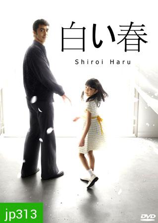 Shiroi Haru (ฤดูใบไม้ผลิสีขาว)