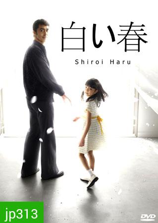 Shiroi Haru (ฤดูใบไม้ผลิสีขาว)