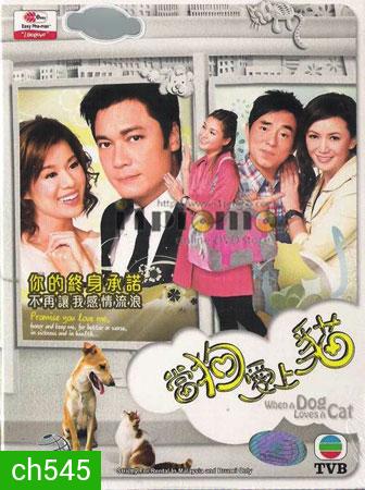 สายใยรักเจ้าโฮ่งน้อย When A Dog Loves A Cat (หลอเจียเหลียง หูซินเอ๋อ)