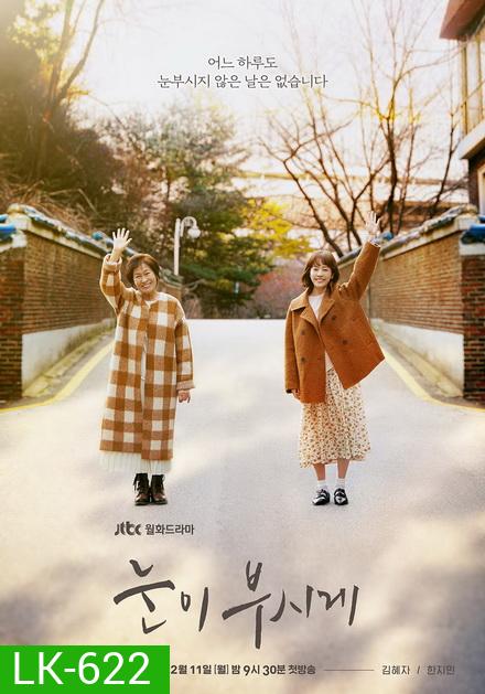 Dazzling / The Light in Your Eyes ย้อนเวลารัก ( 12 ตอนจบ )