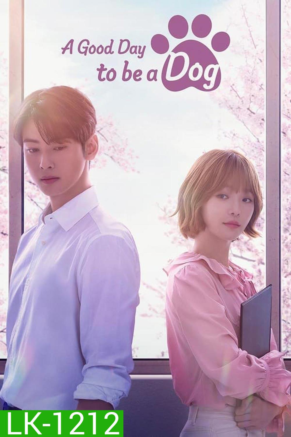 A Good Day To Be A Dog จูบรักปลดล็อก (2023)